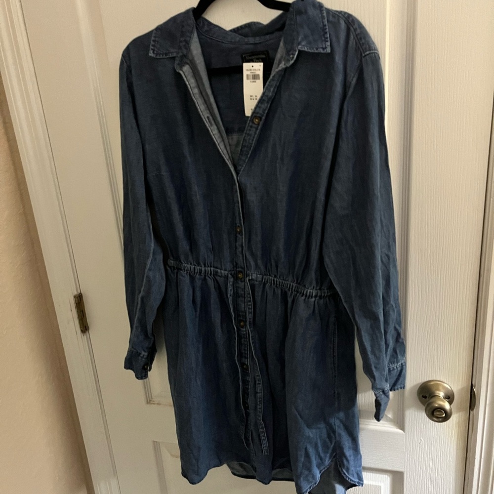 Abercrombie & Fitch Soft Denim Shirt Dress